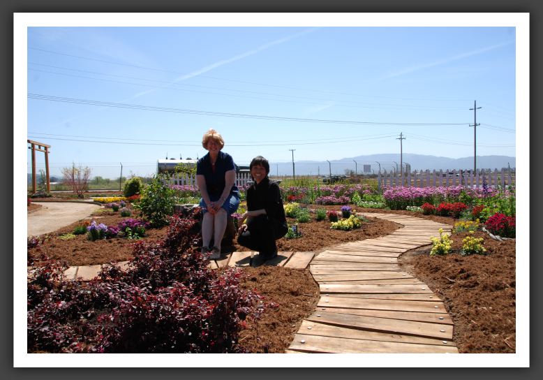 DSC_9332 Takii Gardens